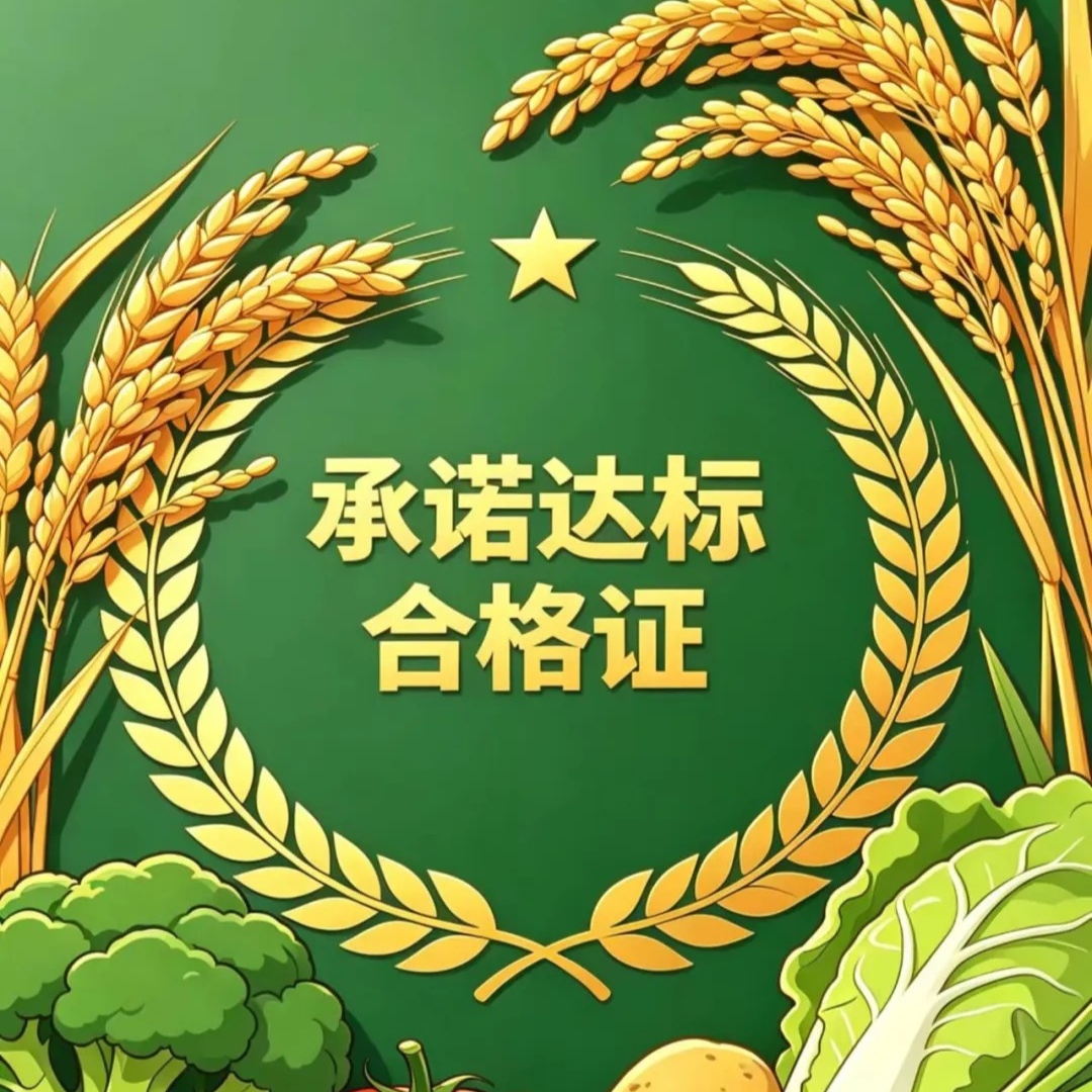 新版承諾達標合格證怎麼填?注意事項→