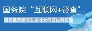 國務院 “互聯網+督查”